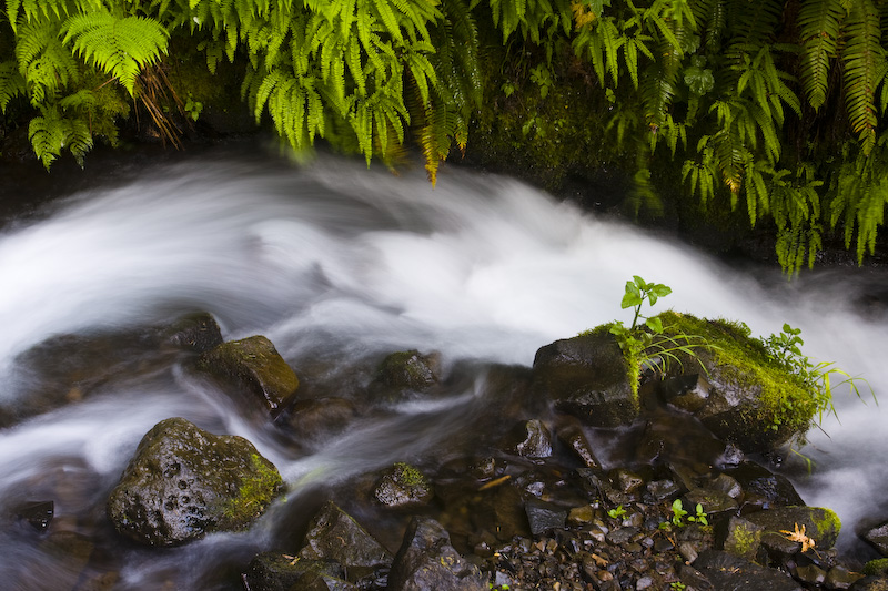 Wahkeena Creek